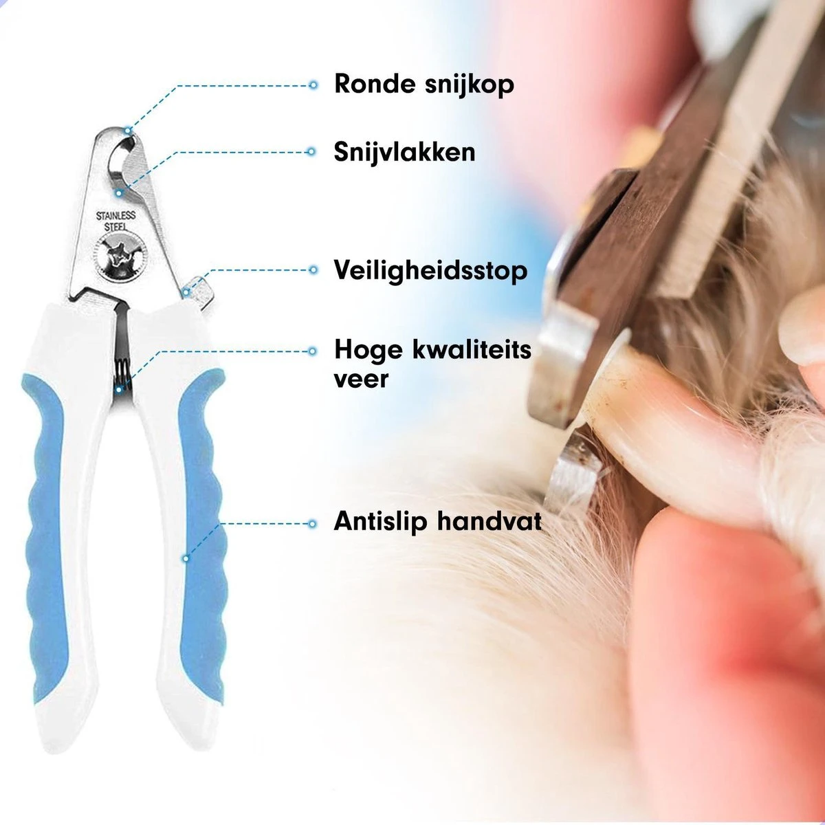 Professionele Nagelschaar|Nagelschaar Hond | Nagelschaar Kat| Nagelknipper Hond En Kat| Nagelknipper Kat| Nagelknipper Hond|NagelTang Dieren|Poot Verzorging 6 Professionele Nagelschaar|Nagelschaar Hond | Nagelschaar Kat| Nagelknipper Hond En Kat| Nagelknipper Kat| Nagelknipper Hond|NagelTang Dieren|Poot Verzorging - Afbeelding 6