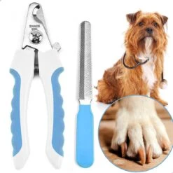 Professionele Nagelschaar|Nagelschaar Hond | Nagelschaar Kat| Nagelknipper Hond En Kat| Nagelknipper Kat| Nagelknipper Hond|NagelTang Dieren|Poot Verzorging 19 Professionele Nagelschaar|Nagelschaar Hond | Nagelschaar Kat| Nagelknipper Hond En Kat| Nagelknipper Kat| Nagelknipper Hond|NagelTang Dieren|Poot Verzorging -Hondenbenodigdheden Korting 1200x1200 666