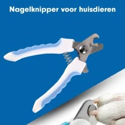 Professionele Nagelschaar|Nagelschaar Hond | Nagelschaar Kat| Nagelknipper Hond En Kat| Nagelknipper Kat| Nagelknipper Hond|NagelTang Dieren|Poot Verzorging 21 Professionele Nagelschaar|Nagelschaar Hond | Nagelschaar Kat| Nagelknipper Hond En Kat| Nagelknipper Kat| Nagelknipper Hond|NagelTang Dieren|Poot Verzorging -Hondenbenodigdheden Korting 1200x1200 668