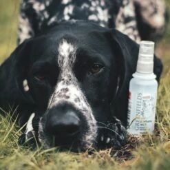 Hondenparfum Spray In 4 Geuren - Greenfields - Alchoholvrije En PH Neutrale Formule Tegen Onaangename Geurtjes - 50ml - Wild -Hondenbenodigdheden Korting 1200x1200 687