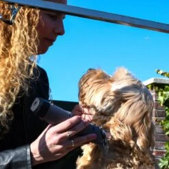 Clipr Ultimate 2-speed Hondentondeuse Op Accu 11 Clipr Ultimate 2-speed Hondentondeuse Op Accu -Hondenbenodigdheden Korting 1200x1200 694