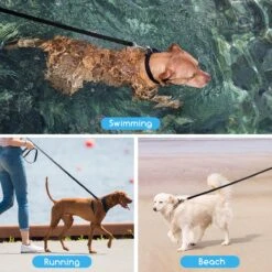 Nobleza Trainingslijn - Longeerlijn - Sleeplijn - Hondenlijn - Trainingslijn Hond - Speurlijn - 10 Meter - Zwart -Hondenbenodigdheden Korting 1200x1200 712