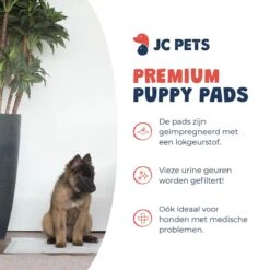 JC Pets Premium Puppy Training Pads - Hondentoilet - Zindelijkheidstraining Hond - 50 Stuks - 60 X 45 Cm -Hondenbenodigdheden Korting 1200x1200 744