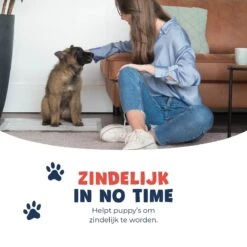 JC Pets Premium Puppy Training Pads - Hondentoilet - Zindelijkheidstraining Hond - 50 Stuks - 60 X 45 Cm -Hondenbenodigdheden Korting 1200x1200 745