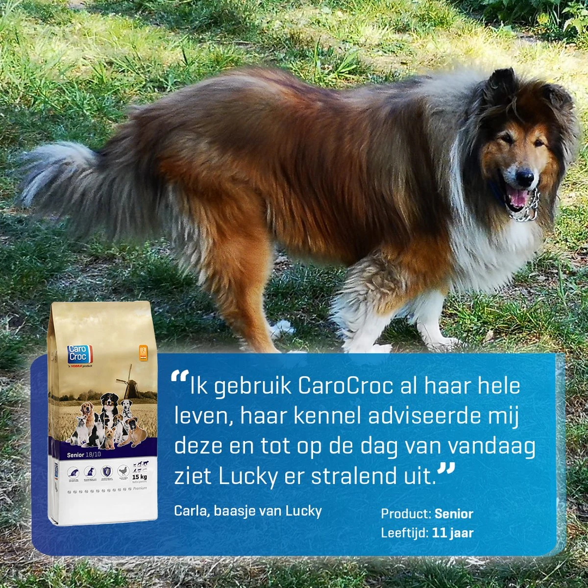 Carocroc Senior Silver 18/10 - Hondenvoer - 15 Kg 10 Carocroc Senior Silver 18/10 - Hondenvoer - 15 Kg - Afbeelding 10