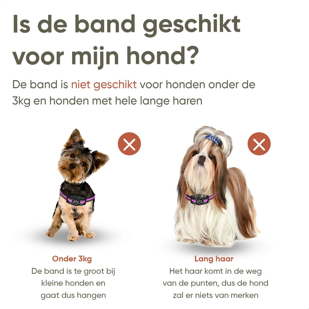 Premium Anti Blafband Om Je Hond Snel En Effectief Te Laten Stoppen Met Blaffen - Diervriendelijke Opvoedingshalsband Zonder Schok - Trainingshalsband Voor Grote En Kleine Honden - Anti Blaf Apparaat - Correctie Halsband 3 Premium Anti Blafband Om Je Hond Snel En Effectief Te Laten Stoppen Met Blaffen - Diervriendelijke Opvoedingshalsband Zonder Schok - Trainingshalsband Voor Grote En Kleine Honden - Anti Blaf Apparaat - Correctie Halsband - Afbeelding 3