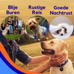 MyPets™ Anti-blafband - Anti Blaf Apparaat - Voor Kleine Honden En Grote Honden - Diervriendelijk - Opvoedingshalsband - Trainingshalsband - 2022/2023 Versie - Inclusief Batterijen 14 MyPets™ Anti-blafband - Anti Blaf Apparaat - Voor Kleine Honden En Grote Honden - Diervriendelijk - Opvoedingshalsband - Trainingshalsband - 2022/2023 Versie - Inclusief Batterijen -Hondenbenodigdheden Korting 1200x1200 780