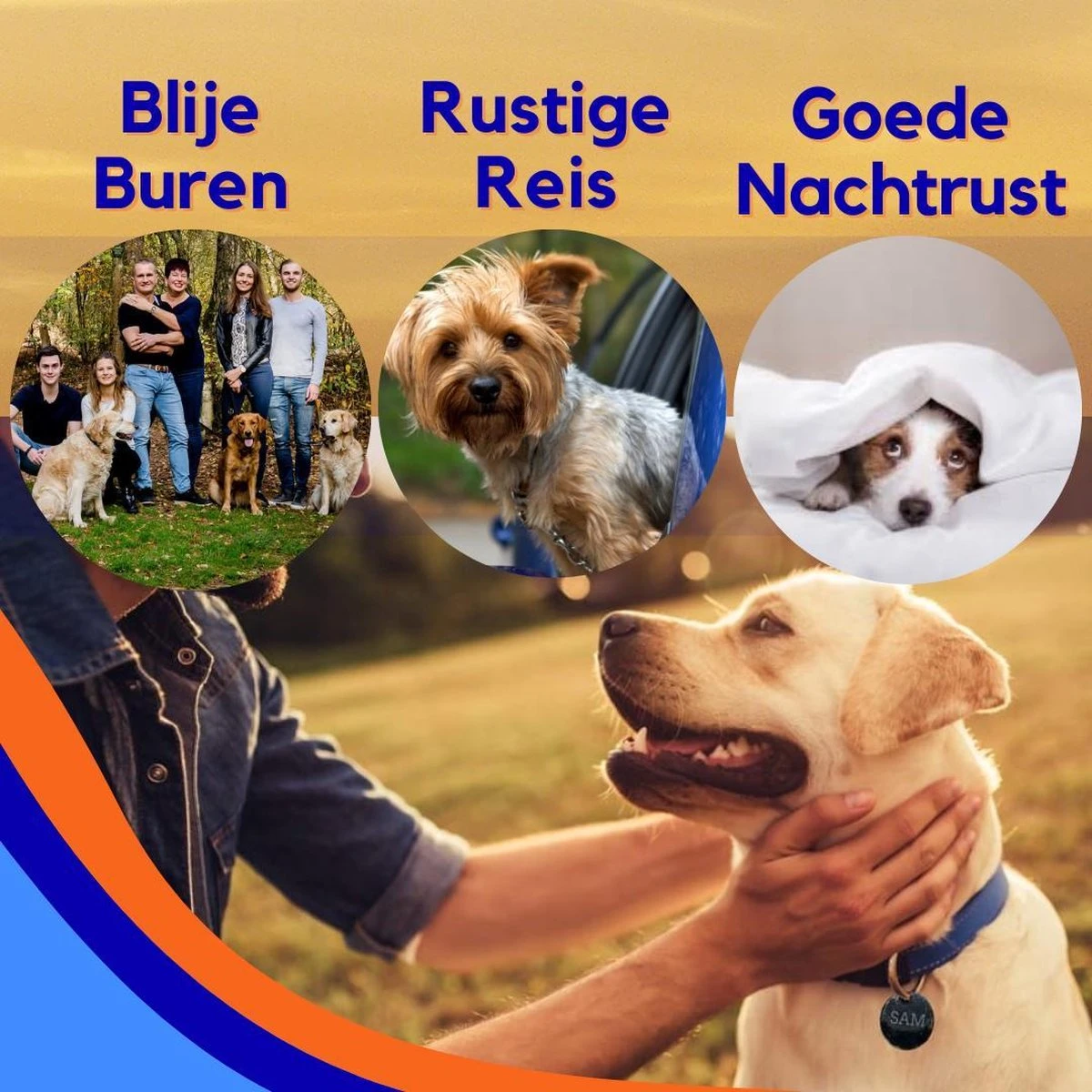 MyPets™ Anti-blafband - Anti Blaf Apparaat - Voor Kleine Honden En Grote Honden - Diervriendelijk - Opvoedingshalsband - Trainingshalsband - 2022/2023 Versie - Inclusief Batterijen 7 MyPets™ Anti-blafband - Anti Blaf Apparaat - Voor Kleine Honden En Grote Honden - Diervriendelijk - Opvoedingshalsband - Trainingshalsband - 2022/2023 Versie - Inclusief Batterijen - Afbeelding 7