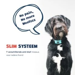 Anti Blafband - Blafband Voor Honden - Anti Blaf Apparaat - Blafband - Diervriendelijk & Zonder Schok 15 Anti Blafband - Blafband Voor Honden - Anti Blaf Apparaat - Blafband - Diervriendelijk & Zonder Schok -Hondenbenodigdheden Korting 1200x1200 790