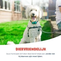 Anti Blafband - Blafband Voor Honden - Anti Blaf Apparaat - Blafband - Diervriendelijk & Zonder Schok 17 Anti Blafband - Blafband Voor Honden - Anti Blaf Apparaat - Blafband - Diervriendelijk & Zonder Schok -Hondenbenodigdheden Korting 1200x1200 792