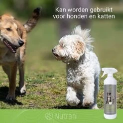 Nutrani Geurverwijderaar, 750 Ml, Natuurlijke Enzymreiniger Als Gebruiksklare Spray Met Biologische Werking, Verwijdert Geurtjes, Urine, Poep En Vlekken Van Honden En Katten -Hondenbenodigdheden Korting 1200x1200 822