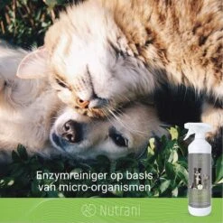 Nutrani Geurverwijderaar, 750 Ml, Natuurlijke Enzymreiniger Als Gebruiksklare Spray Met Biologische Werking, Verwijdert Geurtjes, Urine, Poep En Vlekken Van Honden En Katten -Hondenbenodigdheden Korting 1200x1200 823