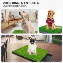 Merkloos Hondentoilet Kunstgras Met Bak - Indoor Dierentoilet - Uitneembare Opvangbak - Puppy Training Pets - Outdoor/Balkon/Tuin/Indoor Toilet - 50x64 Cm 15 Merkloos Hondentoilet Kunstgras Met Bak - Indoor Dierentoilet - Uitneembare Opvangbak - Puppy Training Pets - Outdoor/Balkon/Tuin/Indoor Toilet - 50x64 Cm -Hondenbenodigdheden Korting 1200x1200 843