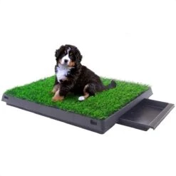 Merkloos Hondentoilet Kunstgras Met Bak - Indoor Dierentoilet - Uitneembare Opvangbak - Puppy Training Pets - Outdoor/Balkon/Tuin/Indoor Toilet - 50x64 Cm 17 Merkloos Hondentoilet Kunstgras Met Bak - Indoor Dierentoilet - Uitneembare Opvangbak - Puppy Training Pets - Outdoor/Balkon/Tuin/Indoor Toilet - 50x64 Cm -Hondenbenodigdheden Korting 1200x1200 845