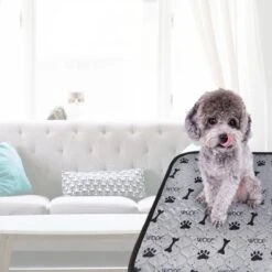 Jooba Puppy Training Pads - Wasbare Puppy Pads 2 Stuks - Hondentoilet - 70x50cm - Puppy -Hondenbenodigdheden Korting 1200x1200 870