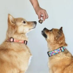 Topdiervoeding Lamslong Hondensnacks - Vers Gedroogd - Knapperig - 1 KG -Hondenbenodigdheden Korting 1200x1200 88