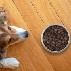 Topdiervoeding Lamslong Hondensnacks - Vers Gedroogd - Knapperig - 1 KG -Hondenbenodigdheden Korting 1200x1200 89