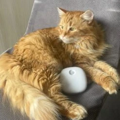 Pettadore Air Insight - Kattenbak Geurverdrijver & Teller - Actieve Zuurstof En Ionen - Oplaadbaar - Met App 26 Pettadore Air Insight - Kattenbak Geurverdrijver & Teller - Actieve Zuurstof En Ionen - Oplaadbaar - Met App -Hondenbenodigdheden Korting 1200x1200 892