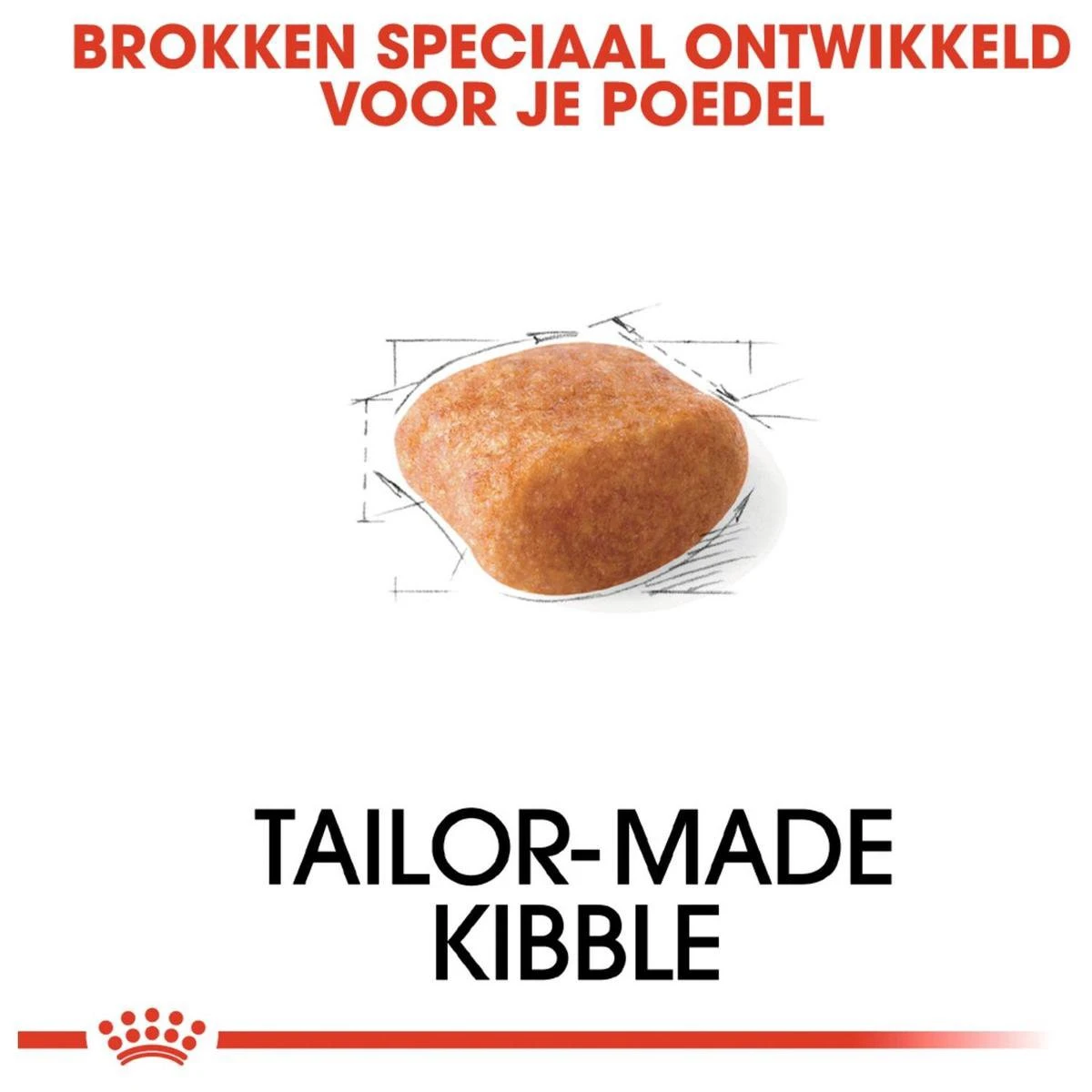 Royal Canin Poodle Adult - Hondenvoer - 7,5 Kg 3 Royal Canin Poodle Adult - Hondenvoer - 7,5 Kg - Afbeelding 3