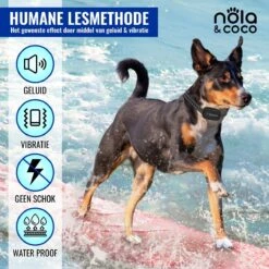 Nola & Coco® Oplaadbare Anti Blafband - 4 Kleuren - Zonder Schok - Waterdichte Diervriendelijke Blaf Halsband - Opvoedingshalsband - Voor Grote En Kleine Honden - Lichte Vibratie En Geluid - 3 Tot 60kg -Hondenbenodigdheden Korting 1200x1200 904