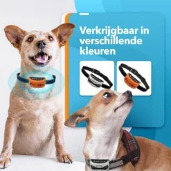 PET DOG® | Anti Blafband Voor Honden | 3 T/m 60 Kg | Oplaadbaar | Anti Blaf Band | Trainingsband | Vibratie En Geluid | Diervriendelijk | Shock Aan/uit Instelbaar -Hondenbenodigdheden Korting 1200x1200 913