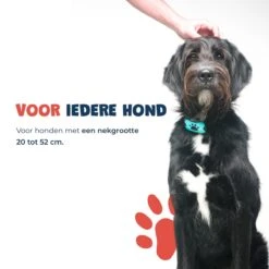 Anti Blafband - Blafband Voor Honden - Anti Blaf Apparaat - Blafband - Diervriendelijk & Zonder Schok -Hondenbenodigdheden Korting 1200x1200 920