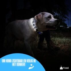 Fideli Anti Blafband - Zonder Schok - Grote En Kleine Honden - Oplaadbaar - LED Verlichte Band -Hondenbenodigdheden Korting 1200x1200 931
