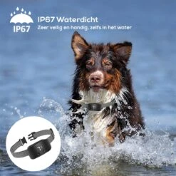 Salvano Anti Blafband - Blafband Voor Honden - Opvoedingshalsbanden - Voor Kleine En Grote Honden - Anti Blafband Zonder Schok- Oplaadbaar - Anti Blaf Apparaat - Blafband - Diervriendelijk -Hondenbenodigdheden Korting 1200x1200 934