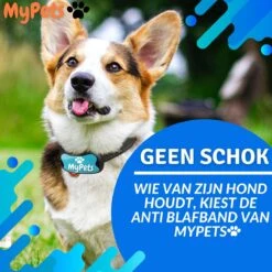 MyPets™ Anti-blafband - Anti Blaf Apparaat - Voor Kleine Honden En Grote Honden - Diervriendelijk - Opvoedingshalsband - Trainingshalsband - 2022/2023 Versie - Inclusief Batterijen 12 MyPets™ Anti-blafband - Anti Blaf Apparaat - Voor Kleine Honden En Grote Honden - Diervriendelijk - Opvoedingshalsband - Trainingshalsband - 2022/2023 Versie - Inclusief Batterijen -Hondenbenodigdheden Korting 1200x1200 940