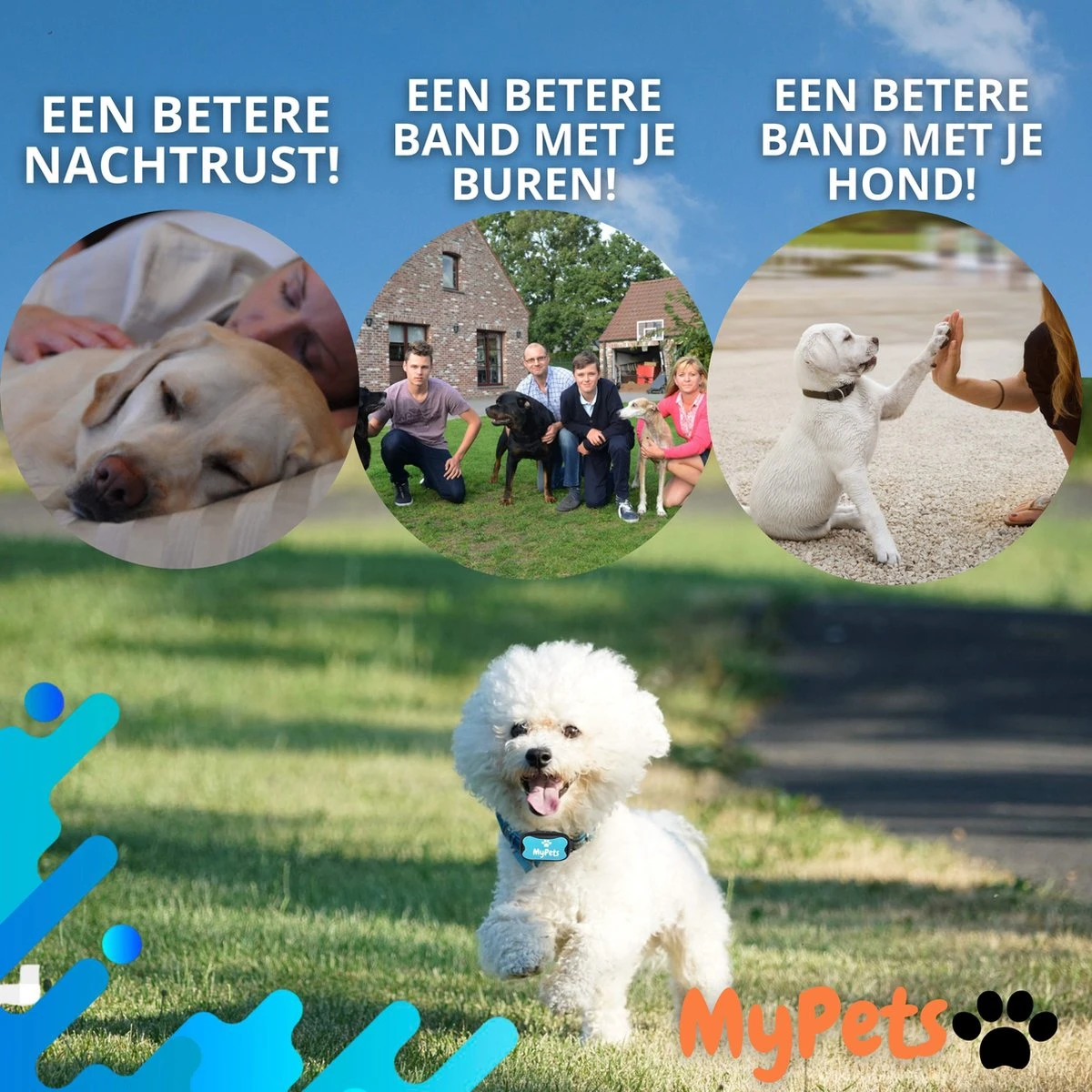 MyPets™ Anti-blafband - Anti Blaf Apparaat - Voor Kleine Honden En Grote Honden - Diervriendelijk - Opvoedingshalsband - Trainingshalsband - 2022/2023 Versie - Inclusief Batterijen 10 MyPets™ Anti-blafband - Anti Blaf Apparaat - Voor Kleine Honden En Grote Honden - Diervriendelijk - Opvoedingshalsband - Trainingshalsband - 2022/2023 Versie - Inclusief Batterijen - Afbeelding 10