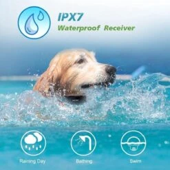 Anti Blafband EN Trainingshalsband In 1 - UNIEK Systeem - 500m Bereik - Trainingsband Opvoedband Waterdicht - Anti Blaf Apparaat - Teletac - Oplaadbaar - Volautomatisch - Grote & Kleine Hond 8 Anti Blafband EN Trainingshalsband In 1 - UNIEK Systeem - 500m Bereik - Trainingsband Opvoedband Waterdicht - Anti Blaf Apparaat - Teletac - Oplaadbaar - Volautomatisch - Grote & Kleine Hond -Hondenbenodigdheden Korting 1200x1200 945