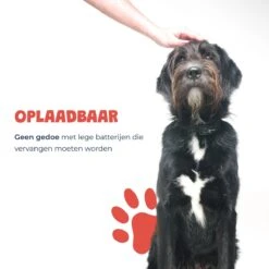 Anti Blafband - Blafband Voor Honden - Oplaadbaar - Anti Blaf Apparaat - Blafband - Diervriendelijk -Hondenbenodigdheden Korting 1200x1200 951
