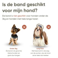 Premium Anti Blafband Apparaat Om Je Hond Snel En Effectief Te Laten Stoppen Met Blaffen - Diervriendelijke Opvoedingshalsband Zonder Schok - Trainingshalsband Voor Grote En Kleine Honden - Anti Blaf Apparaat - Correctie Halsband 11 Premium Anti Blafband Apparaat Om Je Hond Snel En Effectief Te Laten Stoppen Met Blaffen - Diervriendelijke Opvoedingshalsband Zonder Schok - Trainingshalsband Voor Grote En Kleine Honden - Anti Blaf Apparaat - Correctie Halsband -Hondenbenodigdheden Korting 1200x1200 969