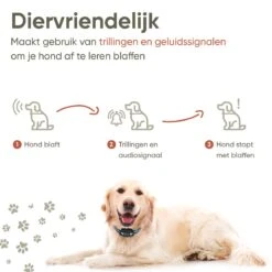 Premium Anti Blafband Apparaat Om Je Hond Snel En Effectief Te Laten Stoppen Met Blaffen - Diervriendelijke Opvoedingshalsband Zonder Schok - Trainingshalsband Voor Grote En Kleine Honden - Anti Blaf Apparaat - Correctie Halsband 12 Premium Anti Blafband Apparaat Om Je Hond Snel En Effectief Te Laten Stoppen Met Blaffen - Diervriendelijke Opvoedingshalsband Zonder Schok - Trainingshalsband Voor Grote En Kleine Honden - Anti Blaf Apparaat - Correctie Halsband -Hondenbenodigdheden Korting 1200x1200 970