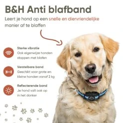 Premium Anti Blafband Apparaat Om Je Hond Snel En Effectief Te Laten Stoppen Met Blaffen - Diervriendelijke Opvoedingshalsband Zonder Schok - Trainingshalsband Voor Grote En Kleine Honden - Anti Blaf Apparaat - Correctie Halsband 13 Premium Anti Blafband Apparaat Om Je Hond Snel En Effectief Te Laten Stoppen Met Blaffen - Diervriendelijke Opvoedingshalsband Zonder Schok - Trainingshalsband Voor Grote En Kleine Honden - Anti Blaf Apparaat - Correctie Halsband -Hondenbenodigdheden Korting 1200x1200 971