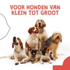 JC Pets Ultrasone Anti Blaf Apparaat Voor Kleine En Grote Honden - Oplaadbaar - Alternatief Anti Blafband Voor Honden - Diervriendelijk & Zonder Schok -Hondenbenodigdheden Korting 1200x1200 998