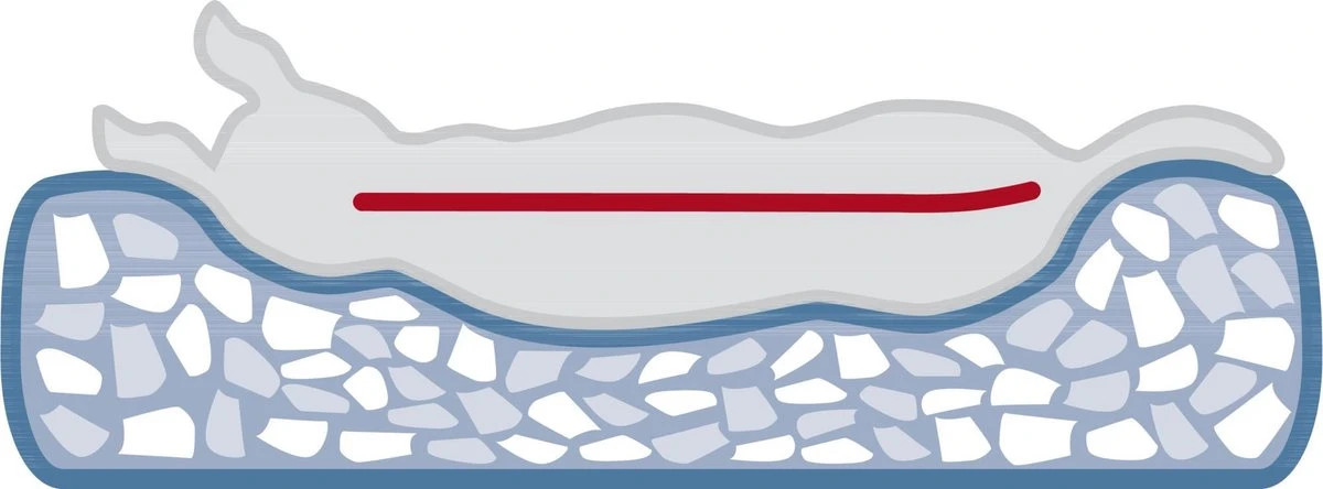 TRIXIE | Trixie Hondenmand Huis Noah Vitaal Schuimrubber Lichtgrijs 4 TRIXIE | Trixie Hondenmand Huis Noah Vitaal Schuimrubber Lichtgrijs - Afbeelding 4