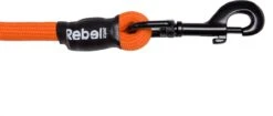 Rebel Petz - Sterke Gevlochten Hondenlijn Van Touw - Kleur: Oranje, Maat: Large 26 Rebel Petz - Sterke Gevlochten Hondenlijn Van Touw - Kleur: Oranje, Maat: Large -Hondenbenodigdheden Korting 1200x510 2