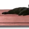 Maxxpro Katten- En Hondenbank - Roze - Verhoogd Met Houten Poten - Fluweel Materiaal - 90 X 44 X 34 CM - Huisdieren Tot 80 KG