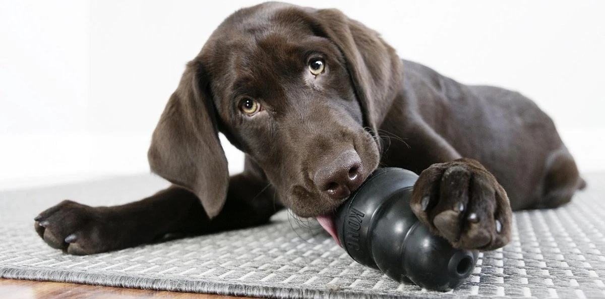 Kong Extreme - Hondenspeelgoed - Zwart - XL 8 Kong Extreme - Hondenspeelgoed - Zwart - XL - Afbeelding 8