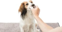 Trixie Verzorgingsvinger - 50 Stuks -Hondenbenodigdheden Korting 1200x630 2