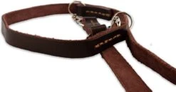 Multifunctionele Hondenriem - 220cm - Bruin - Leren Hondenriem - 100% Volnerfleer - Hondenriem Leer - Leiband Hond 14 Multifunctionele Hondenriem - 220cm - Bruin - Leren Hondenriem - 100% Volnerfleer - Hondenriem Leer - Leiband Hond -Hondenbenodigdheden Korting 1200x631 1