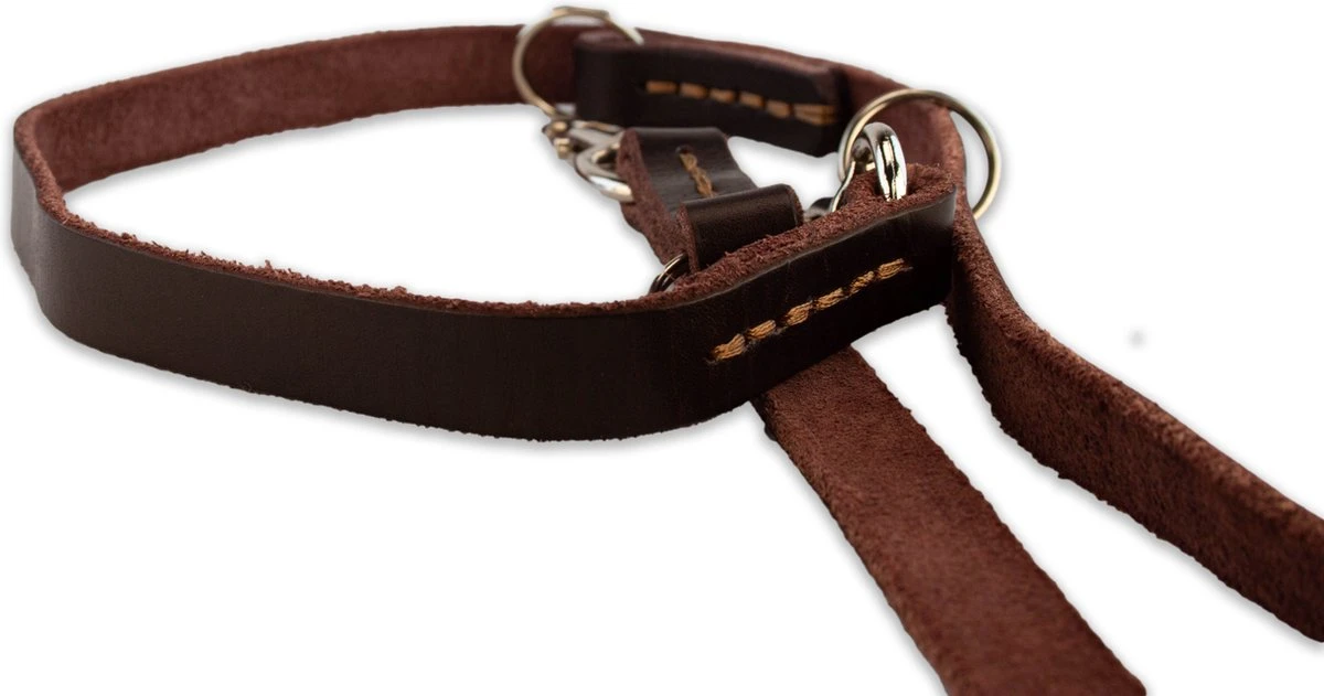 Multifunctionele Hondenriem - 220cm - Bruin - Leren Hondenriem - 100% Volnerfleer - Hondenriem Leer - Leiband Hond 5 Multifunctionele Hondenriem - 220cm - Bruin - Leren Hondenriem - 100% Volnerfleer - Hondenriem Leer - Leiband Hond - Afbeelding 5