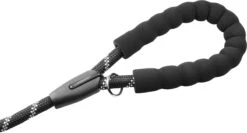 Comfortabele Hondenriem Met Gevoerd Handvat – Stevige Nylon Hondenlijn – Riem Voor Honden -Hondenbenodigdheden Korting 1200x647