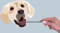 AE Dogz Tandsteenverwijderaar/Tandenkrabber -Hondenbenodigdheden Korting 1200x663 2