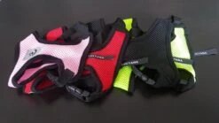 Luxyana® Hondentuigje - S - 28-32cm - Geschikt Voor Kleine Honden En Als Kattenharnas - Easy Step-in Hondentuigje Voor De Kleine Hond Of Kat - Inclusief Bijpassend Riempje - Zwart -Hondenbenodigdheden Korting 1200x674 11