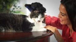 Vacht Verzorgingsborstel Voor Huisdieren - Blauw - LimitedDeals - Voor Honden Katten Konijnen Paarden - Tevens Massage Handschoen Voor Dieren! - Goed Voor De Verzorging Van De Vacht -Hondenbenodigdheden Korting 1200x674