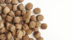 Carocroc Senior Silver 18/10 - Hondenvoer - 15 Kg 18 Carocroc Senior Silver 18/10 - Hondenvoer - 15 Kg -Hondenbenodigdheden Korting 1200x675 1