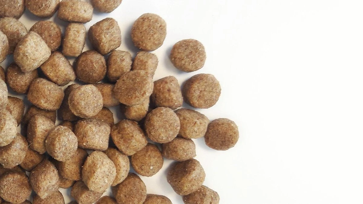 Carocroc Senior Silver 18/10 - Hondenvoer - 15 Kg 6 Carocroc Senior Silver 18/10 - Hondenvoer - 15 Kg - Afbeelding 6