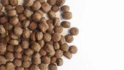 Carocroc Small Breed 25/16 - Hondenvoer - 15 Kg -Hondenbenodigdheden Korting 1200x675